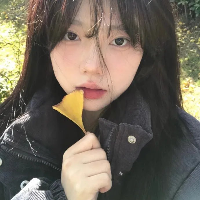 森林