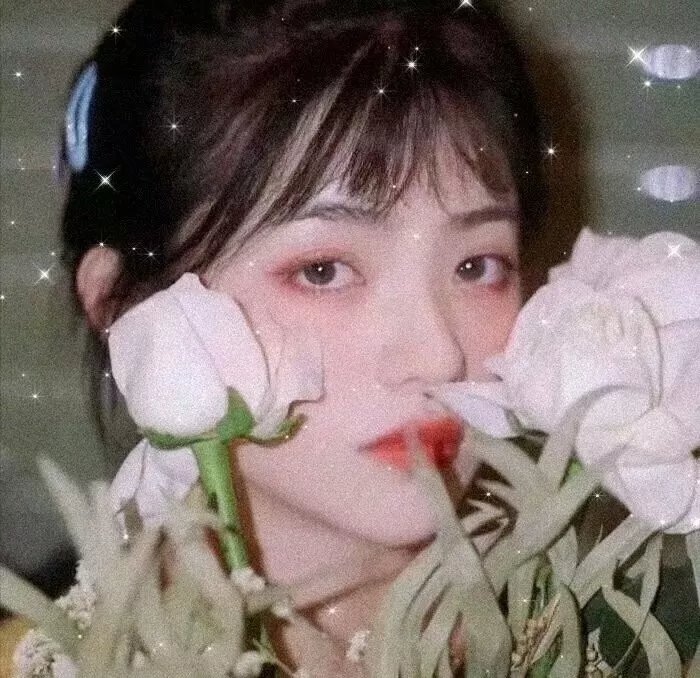 机器肉鸡第八季